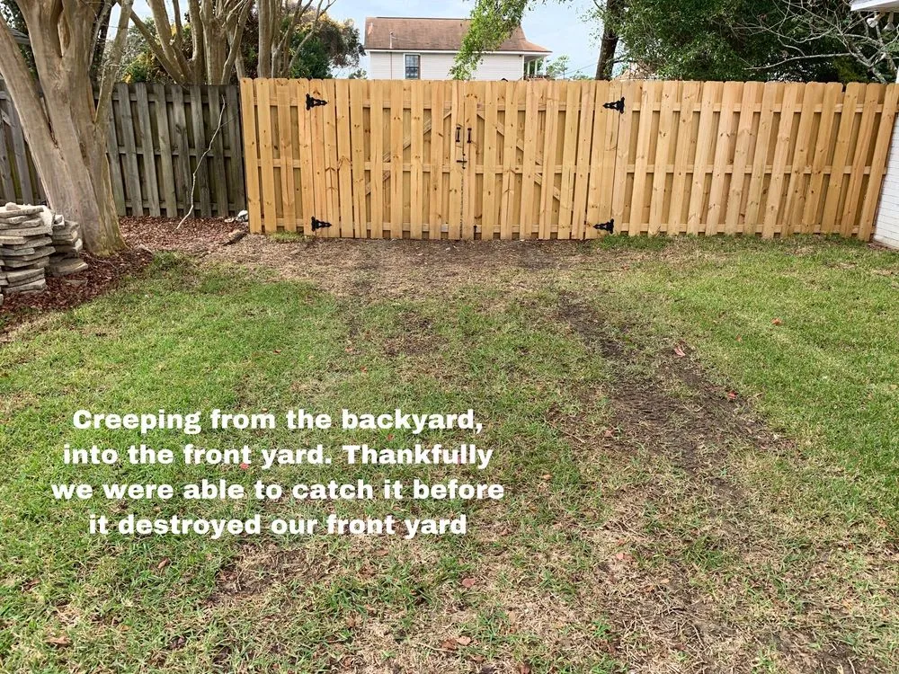 Local landscape design in Lillian, AL by Haber Sod Farms