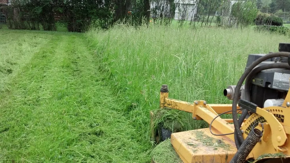 Reliable outdoor landscaping for homes in Parsippany, NJ by Habermann Landscaping