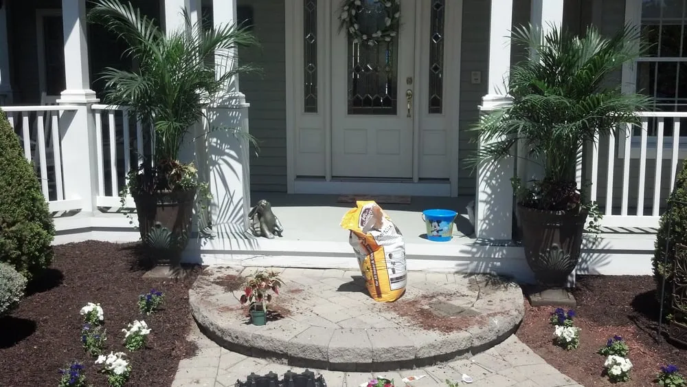 Expert yard maintenance for residential properties across Parsippany, NJ - Habermann Landscaping