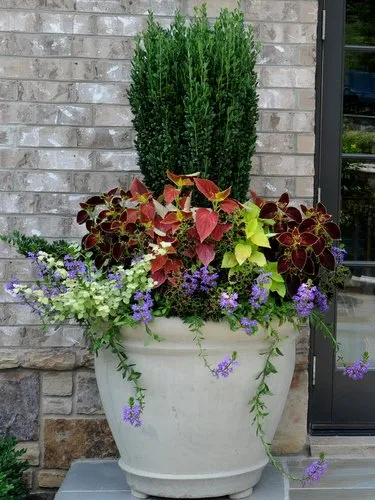 Expert residential landscaping for beautiful yards in Atlanta, GA by Habersham Gardens Landscape Services