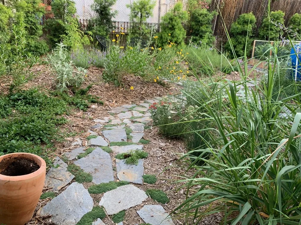 Reliable lawn mowing service experts serving Sebastopol, CA - Habitat Gardens CA