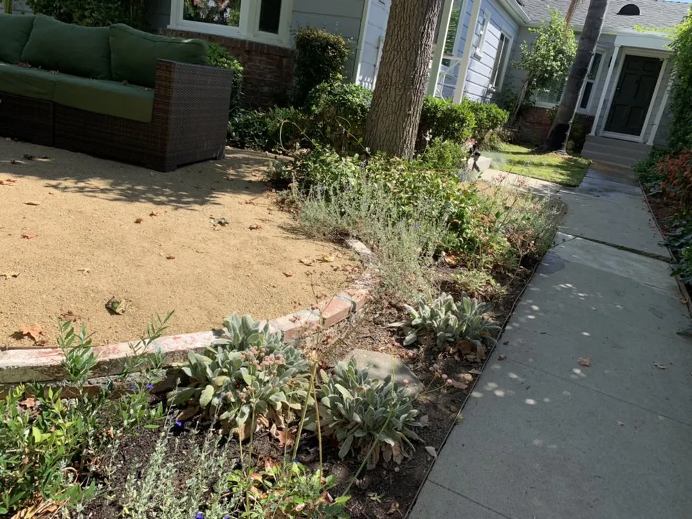 Custom lawn care service in Sebastopol, CA - Habitat Gardens CA