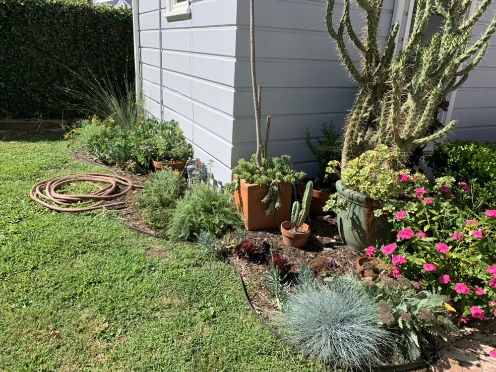 Local landscape installation with custom design across Sebastopol, CA - Habitat Gardens CA
