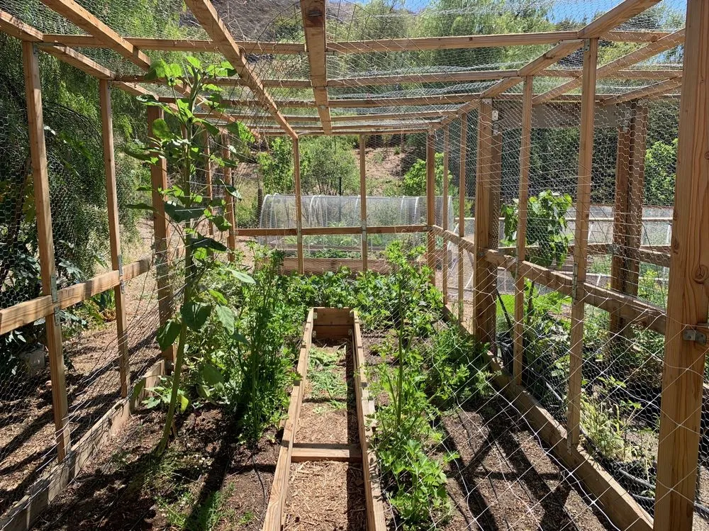 Local landscape installation with custom design across Sebastopol, CA - Habitat Gardens CA