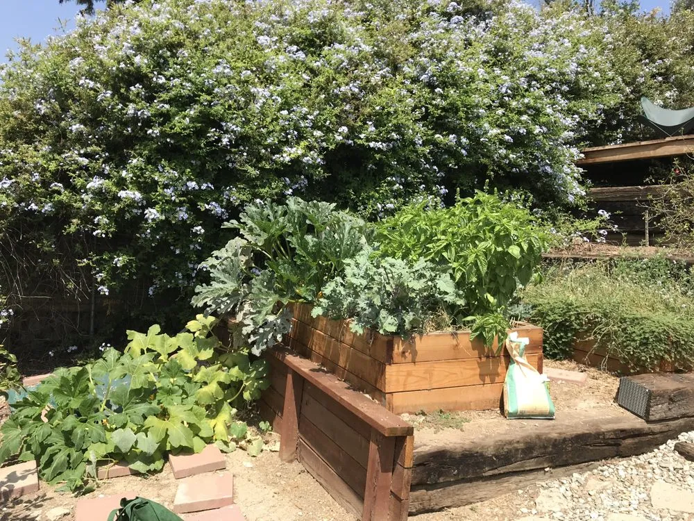 Affordable residential landscaping in Sebastopol, CA - Habitat Gardens CA