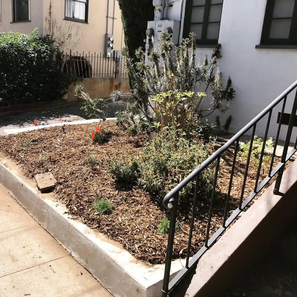 Expert yard maintenance for beautiful yards across Sebastopol, CA - Habitat Gardens CA