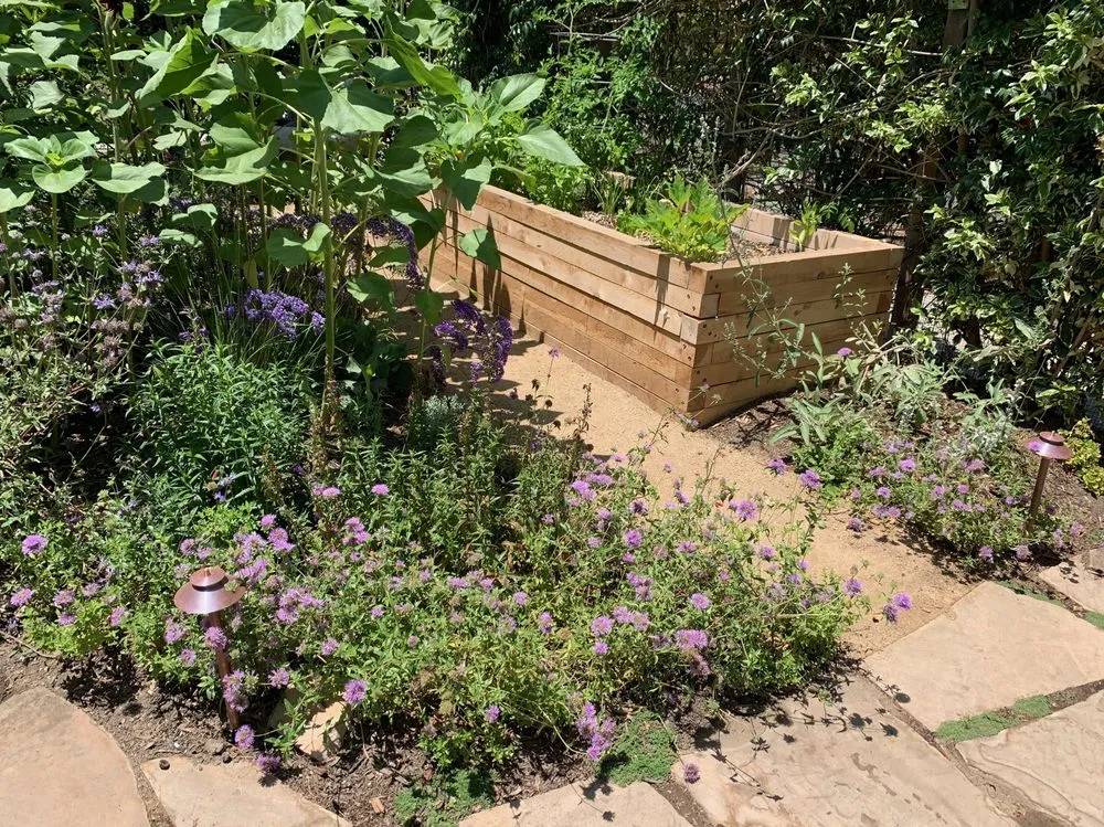 Trusted yard cleanup service experts serving Sebastopol, CA - Habitat Gardens CA