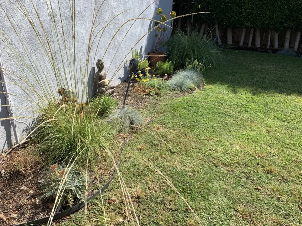Reliable landscaping services in Sebastopol, CA - Habitat Gardens CA