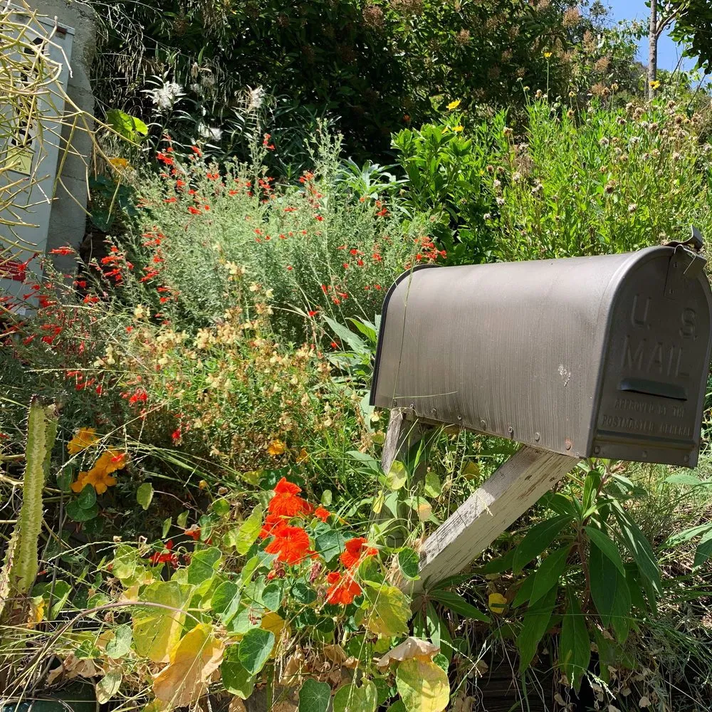 Custom landscape design with custom design in Sebastopol, CA by Habitat Gardens CA