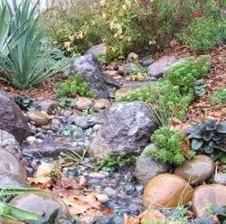 Trusted yard maintenance near you across Santa Cruz, CA - Habitat Gardens