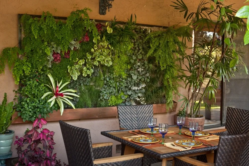 Affordable residential landscaping experts serving Berkeley, CA - Habitat Horticulture