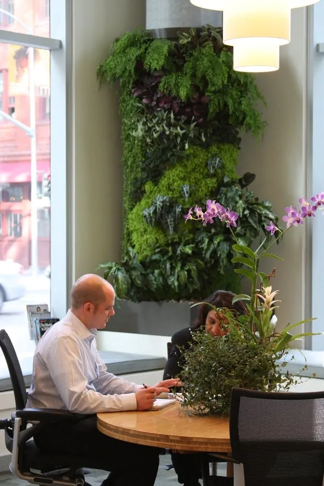 Top-rated residential landscaping experts serving Berkeley, CA - Habitat Horticulture