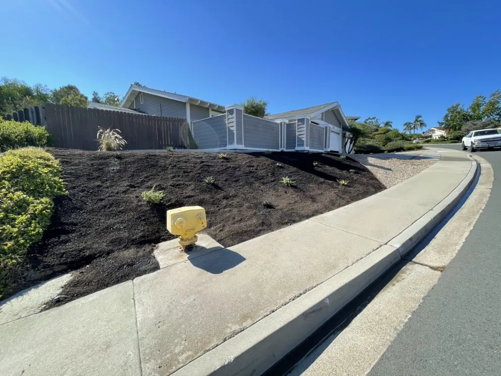 Local lawn care service in Laguna Beach, CA by Habitat Landscape