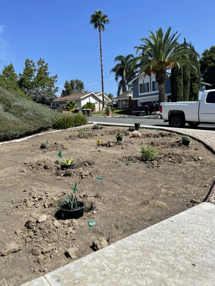 Custom garden landscaping experts serving Laguna Beach, CA - Habitat Landscape
