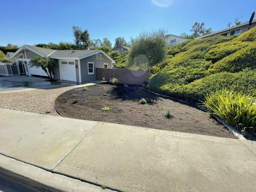 Affordable yard maintenance near you in Laguna Beach, CA by Habitat Landscape