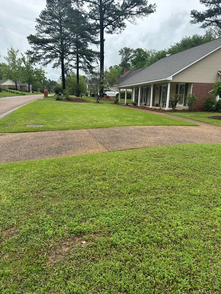 Local landscape installation experts serving Brandon, MS - Habitat Pro