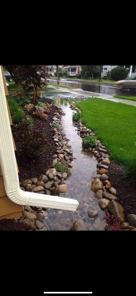 Expert yard cleanup service experts serving Brandon, MS - Habitat Pro