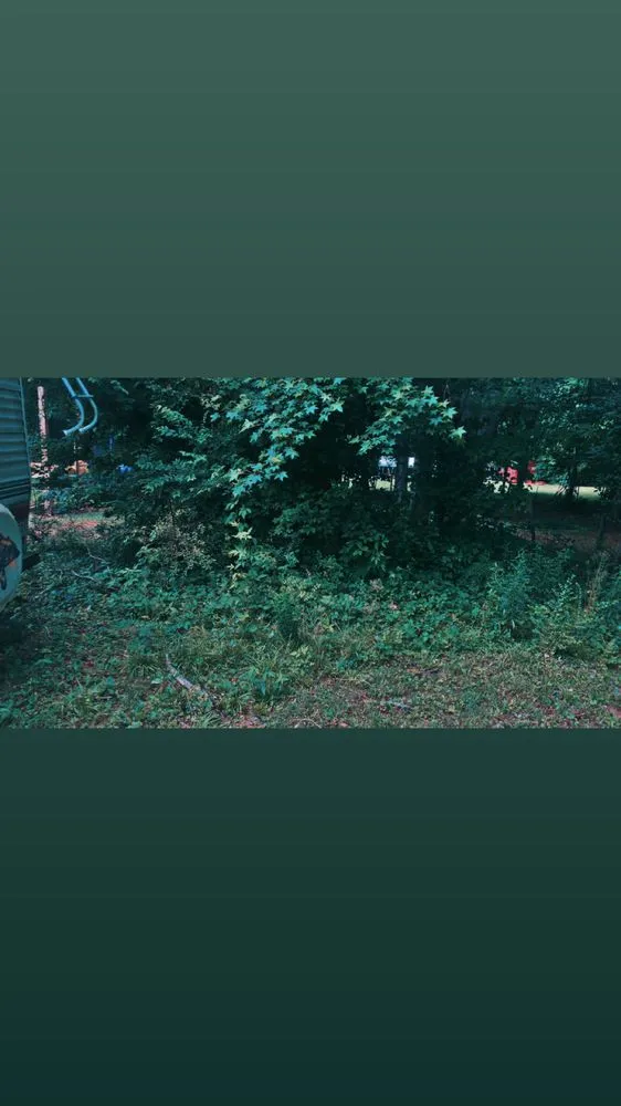 Top-rated garden landscaping near you in Lexington, NC by HAC Lawn Care