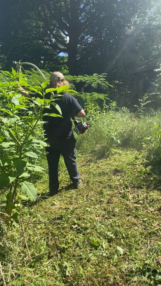 Custom lawn mowing service experts serving Lexington, NC - HAC Lawn Care