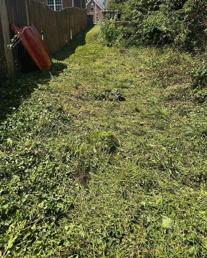 Affordable landscaping services in Murfreesboro, TN by HaC Lawn Maintenance