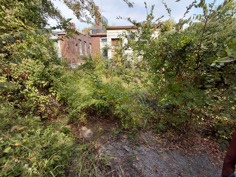 Top-rated landscape design in St. Louis, MO by Hackney Enterprises