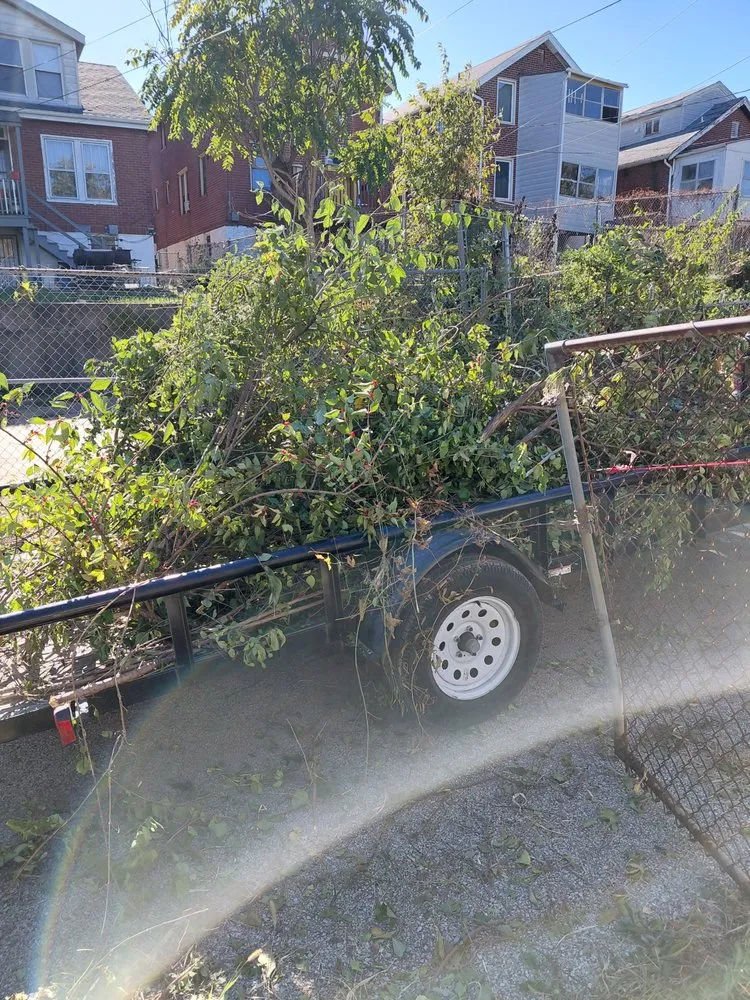 Professional landscaping services experts serving St. Louis, MO - Hackney Enterprises