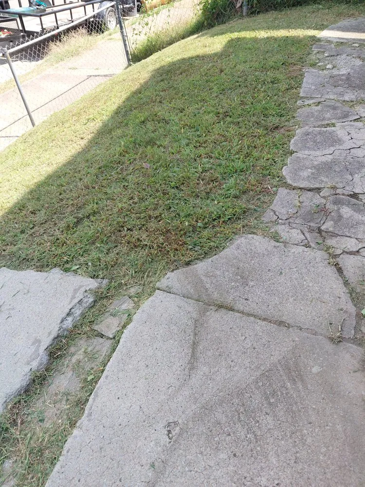 Top-rated yard cleanup service in St. Louis, MO - Hackney Enterprises