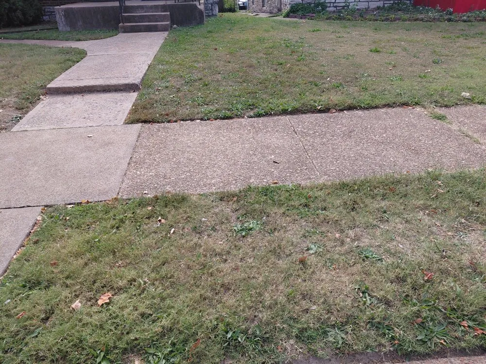 Affordable lawn care service with custom design across St. Louis, MO - Hackney Enterprises