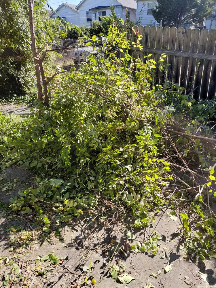 Custom garden landscaping in St. Louis, MO - Hackney Enterprises