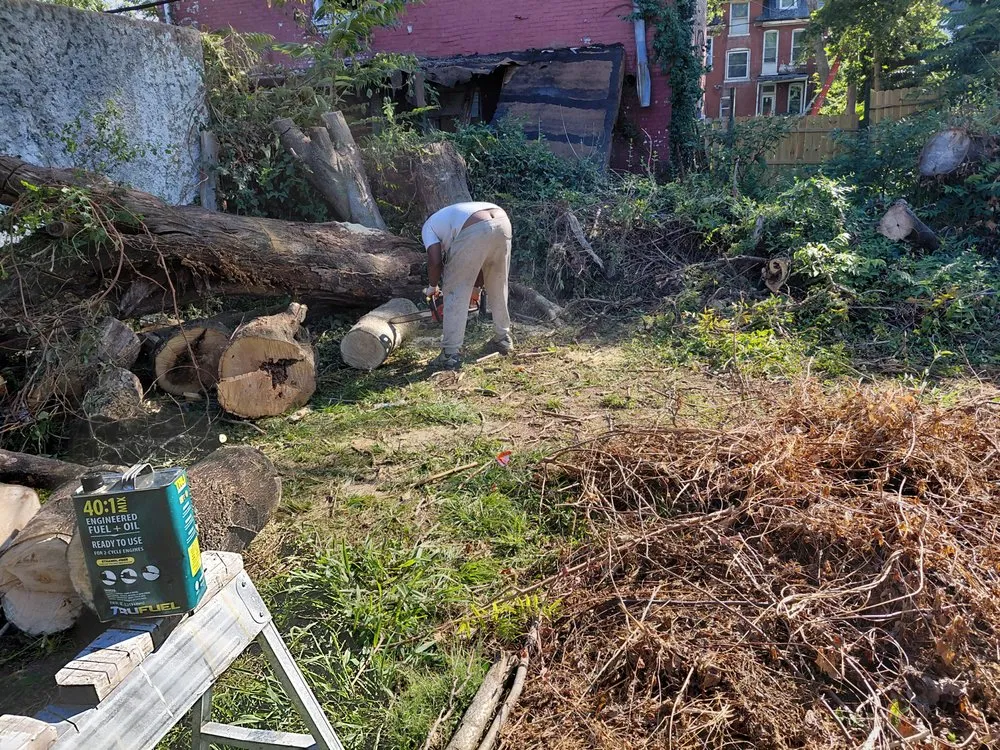 Affordable lawn mowing service for beautiful yards across St. Louis, MO - Hackney Enterprises