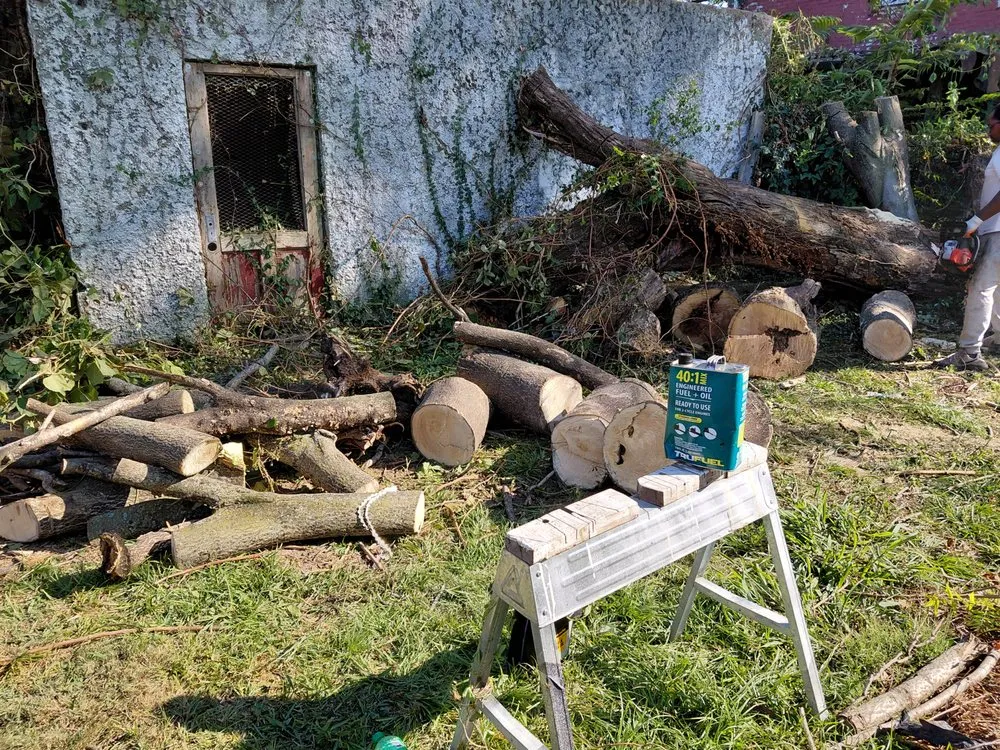 Expert lawn care service with custom design in St. Louis, MO by Hackney Enterprises