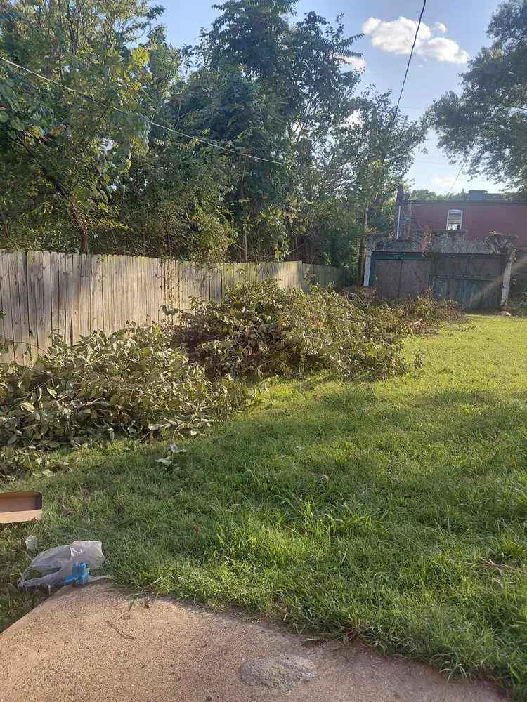 Affordable landscape design for beautiful yards across St. Louis, MO - Hackney Enterprises