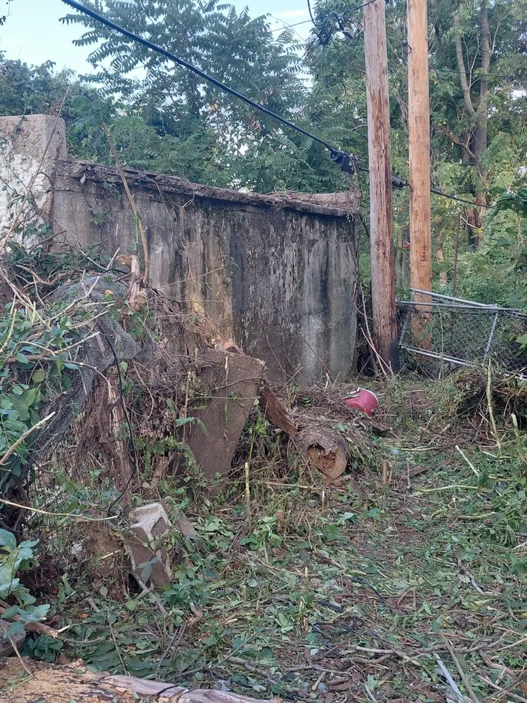 Local yard cleanup service near you across St. Louis, MO - Hackney Enterprises