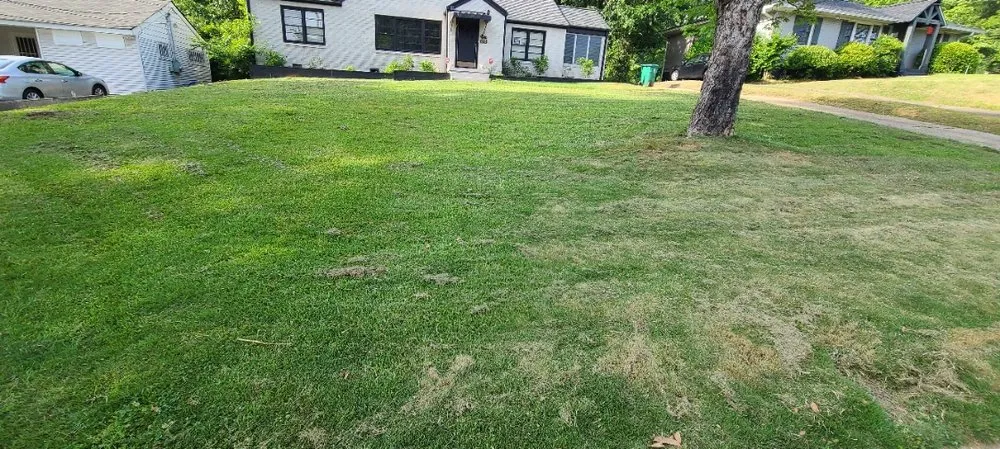 Custom lawn mowing service with custom design across Riverdale, GA - Hadaryl express services