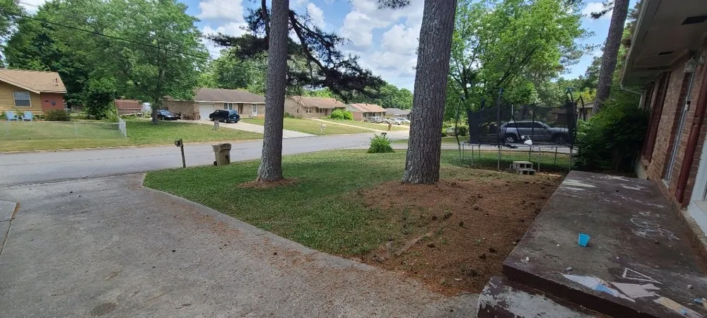 Reliable landscape design in Riverdale, GA by Hadaryl express services