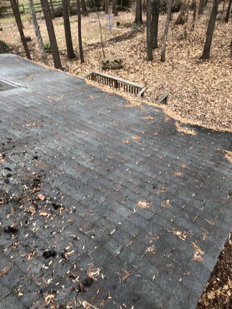 Local landscape design for homes in Charlottesville, VA by Haden Services