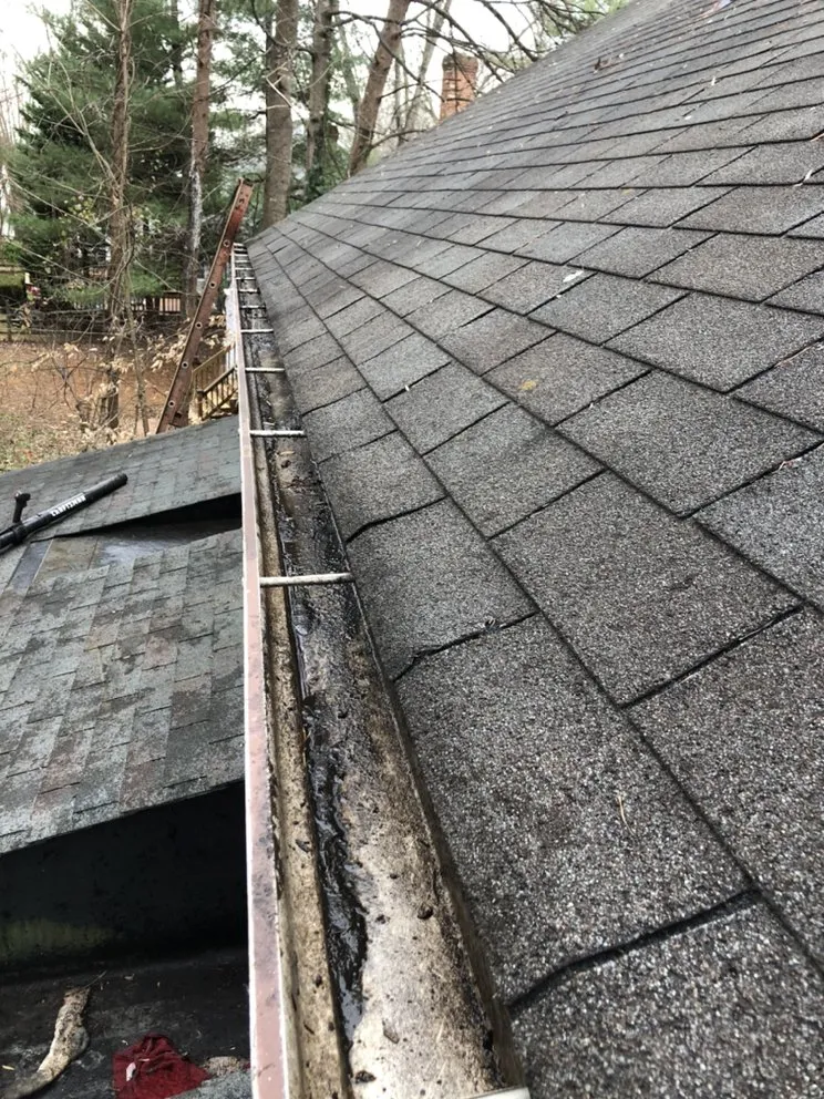 Reliable residential landscaping experts serving Charlottesville, VA - Haden Services