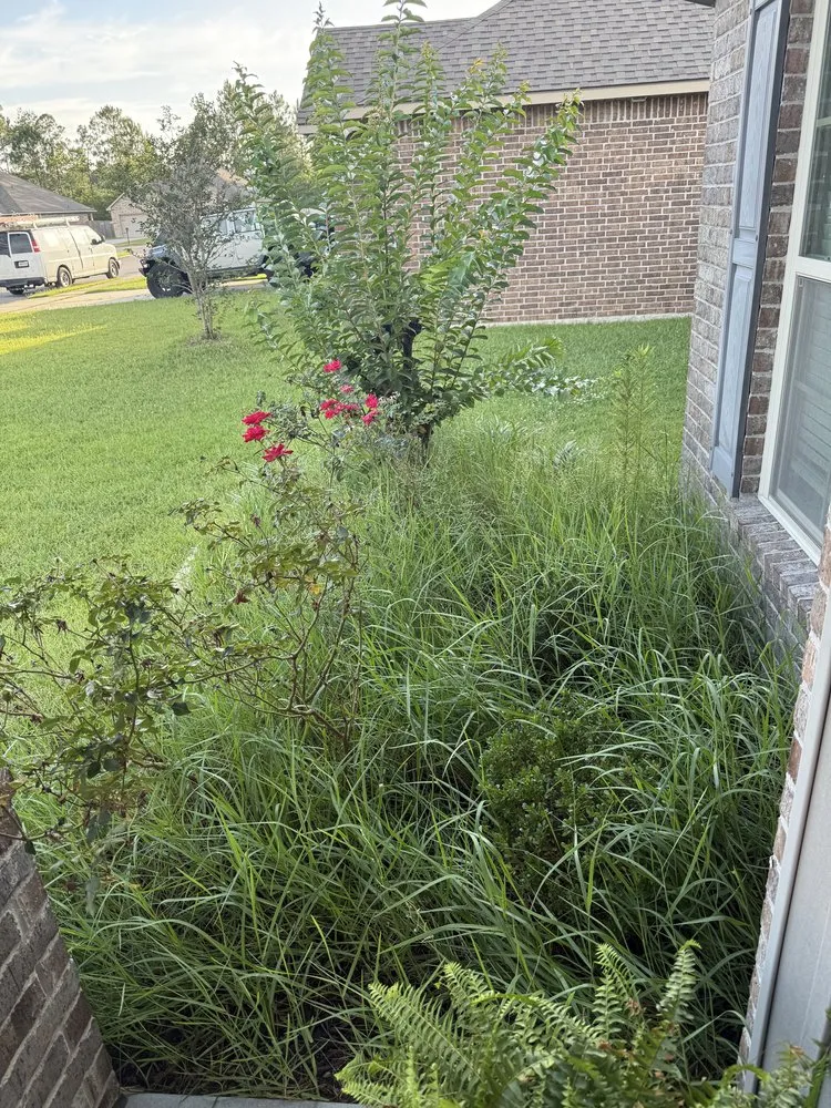 Trusted landscape installation in Ocean Springs, MS by Hadley Lawn & Landscape
