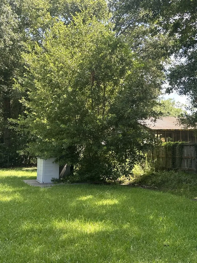 Trusted landscape design experts serving Ocean Springs, MS - Hadley Lawn & Landscape