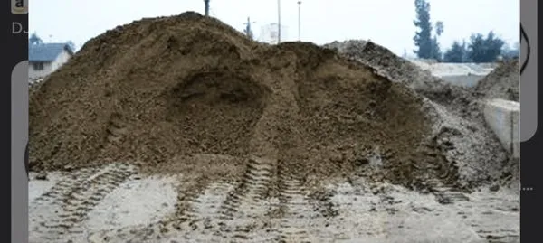 Hadley Lawn and Tree Logo