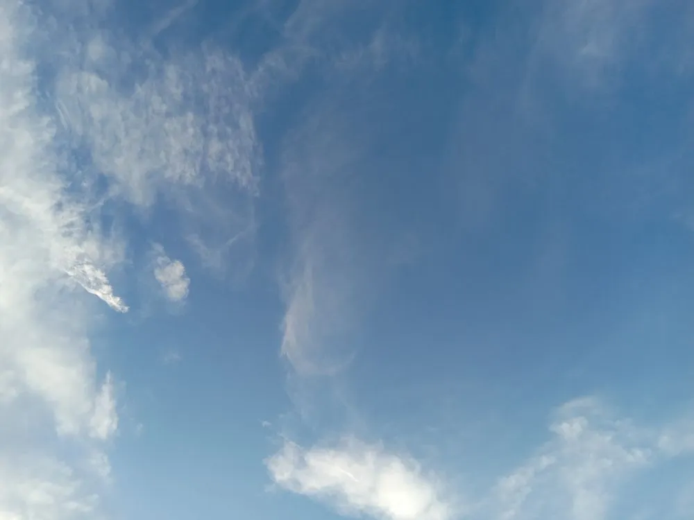 Reliable outdoor landscaping experts serving Bluffton, SC - Haedyn Lawn Work