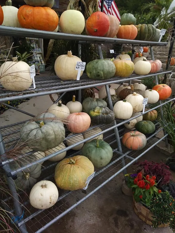 Local lawn mowing service for beautiful yards across Saint Louis, MO - Haegele Nursery & Garden Center