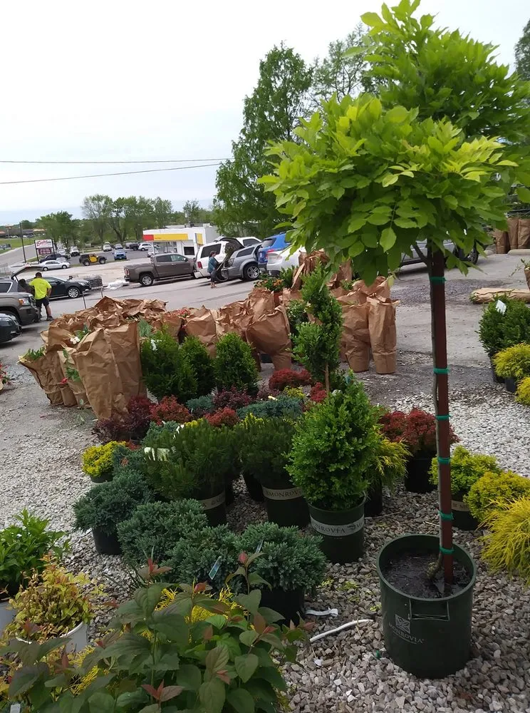 Professional lawn care service near you in Saint Louis, MO by Haegele Nursery & Garden Center