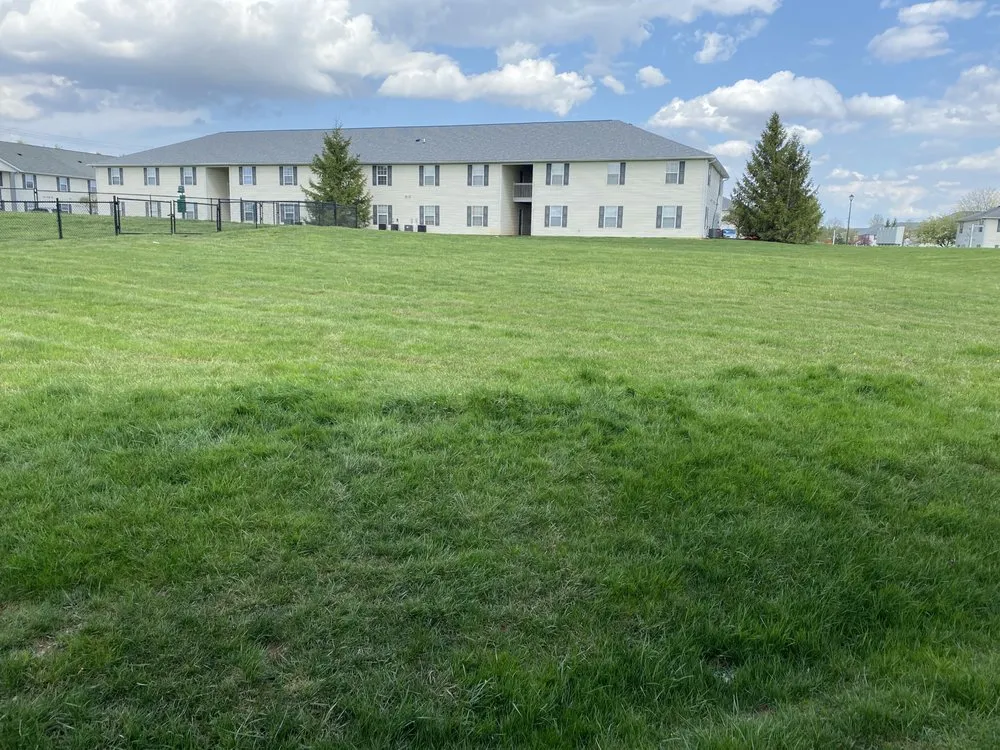 Affordable yard cleanup service for outdoor upgrades in Columbus, OH by HAFEEZ-WAY