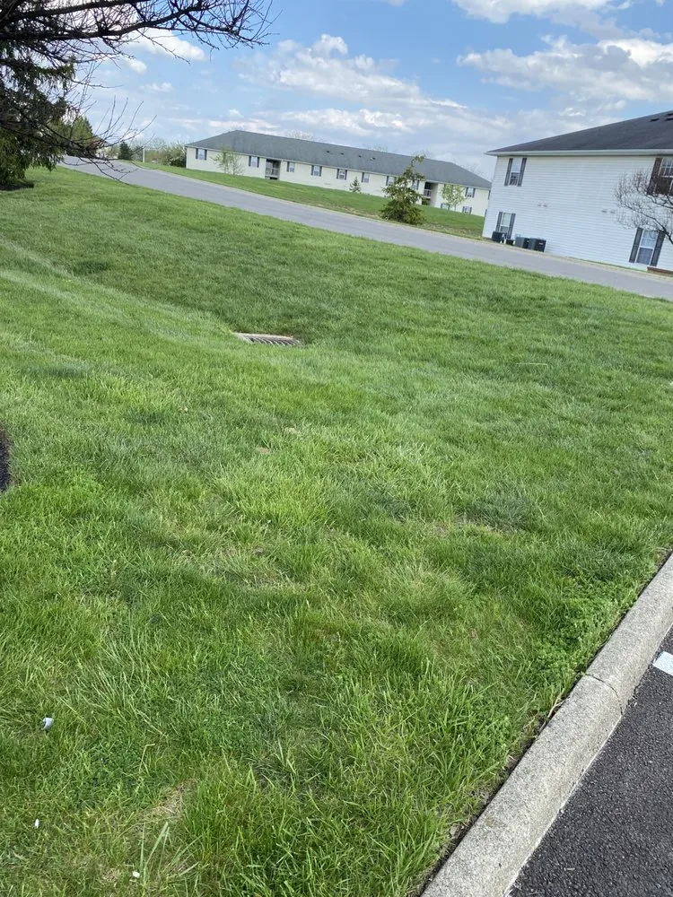 Expert landscape installation experts serving Columbus, OH - HAFEEZ-WAY