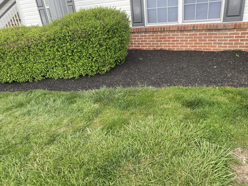 Trusted landscaping services with custom design in Columbus, OH by HAFEEZ-WAY