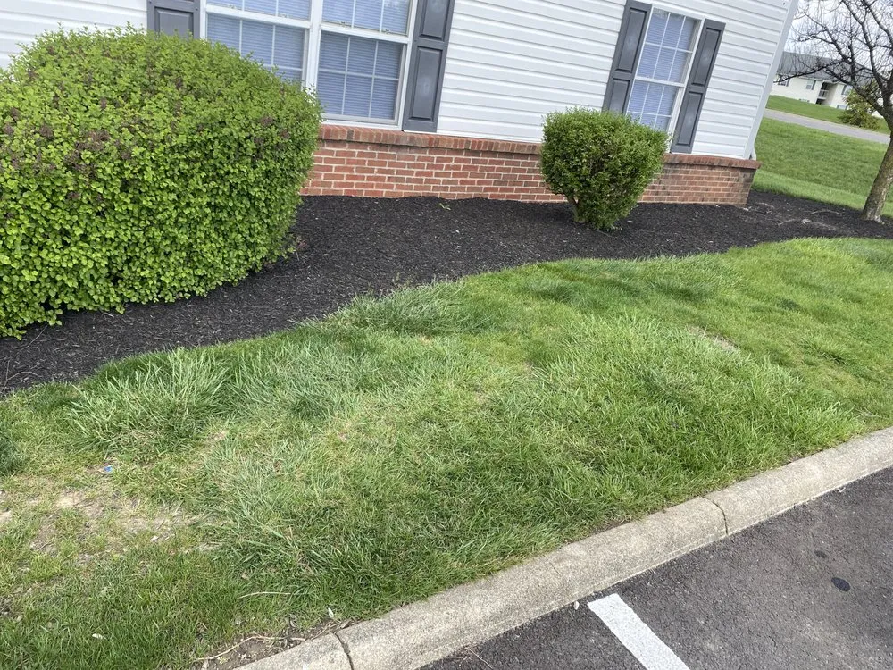 Top-rated residential landscaping in Columbus, OH - HAFEEZ-WAY
