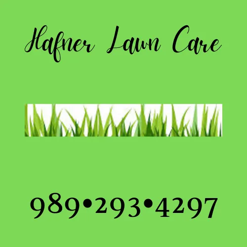 Professional lawn care service near you in Bay City, MI by Hafner Lawn Care
