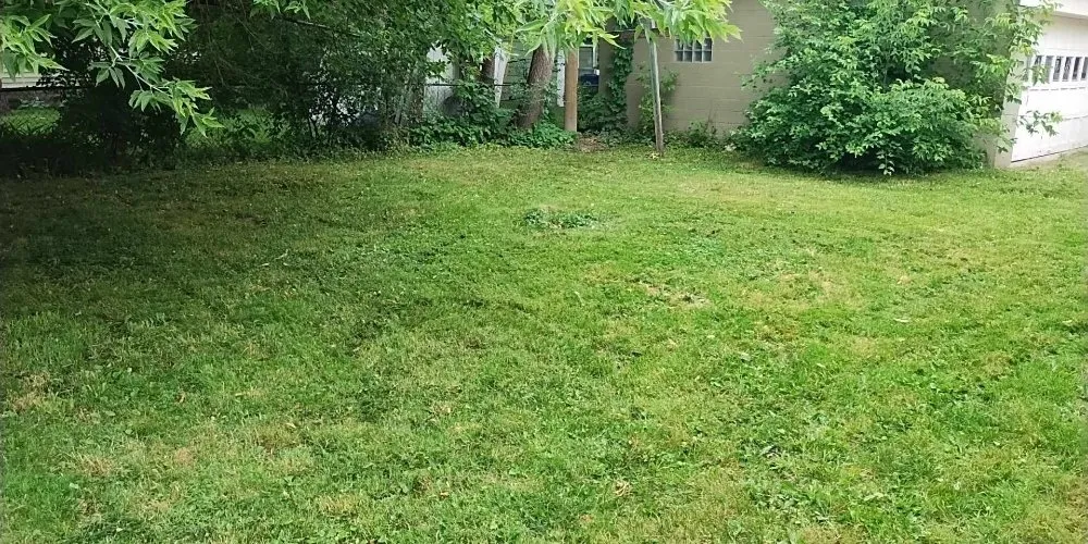 Reliable lawn mowing service in Bay City, MI by Hafner Lawn Care