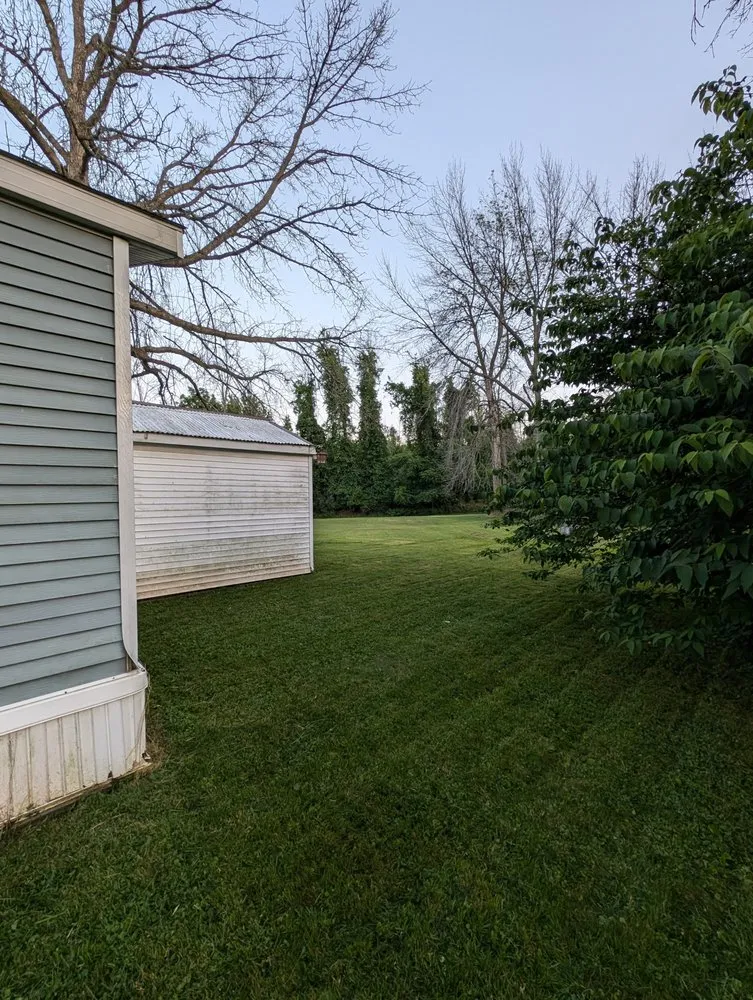 Expert yard cleanup service experts serving Albion, NY - Hafner's Hedgers & Lawncare